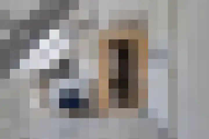 Taling 18 Grijpskerk thumbnail 40
