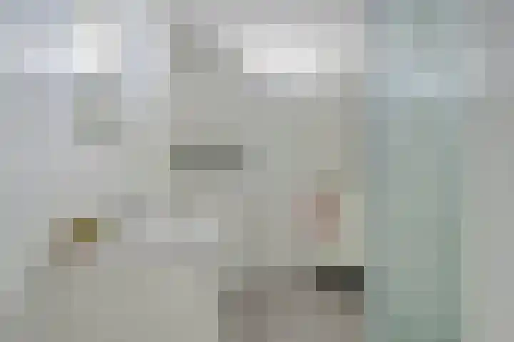 Taling 18 Grijpskerk thumbnail 41