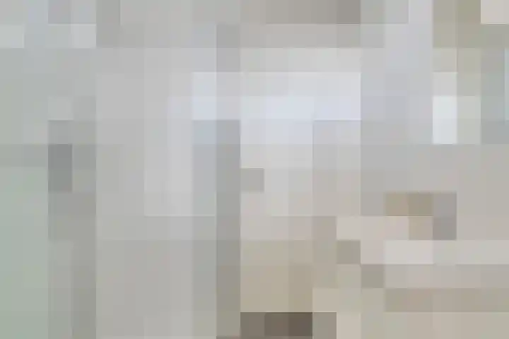 Taling 18 Grijpskerk thumbnail 42