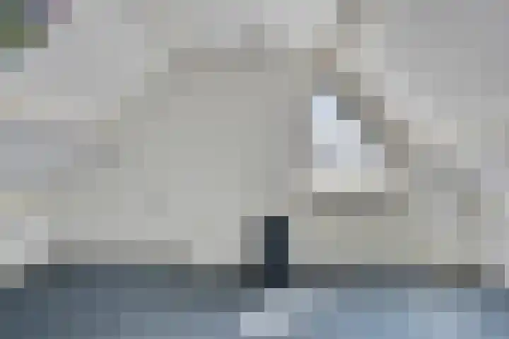 Taling 18 Grijpskerk thumbnail 47