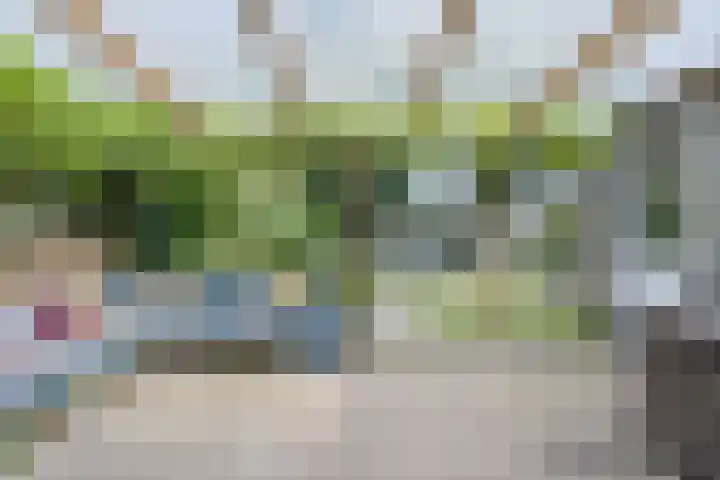 Taling 18 Grijpskerk thumbnail 50