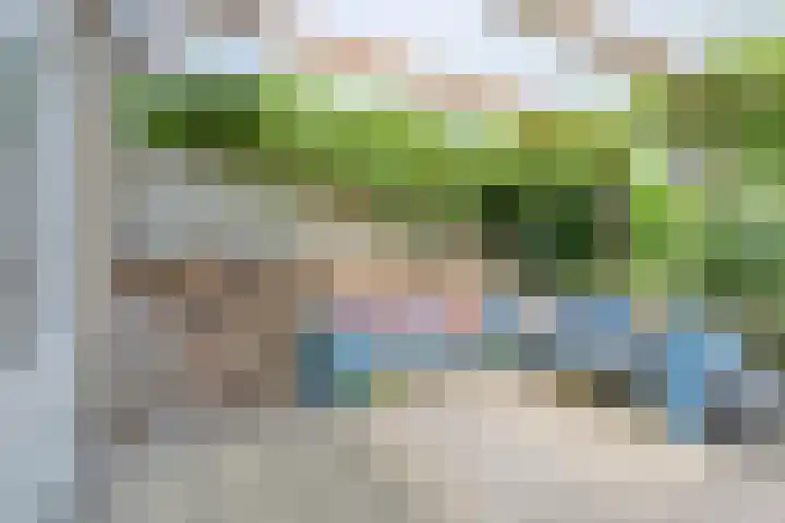 Taling 18 Grijpskerk thumbnail 51