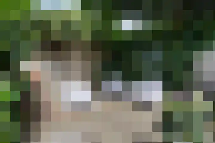 Taling 18 Grijpskerk thumbnail 54