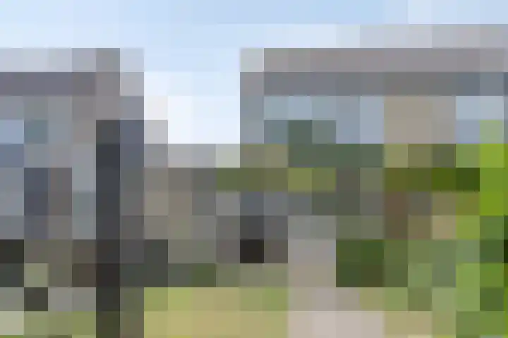 Taling 18 Grijpskerk thumbnail 55