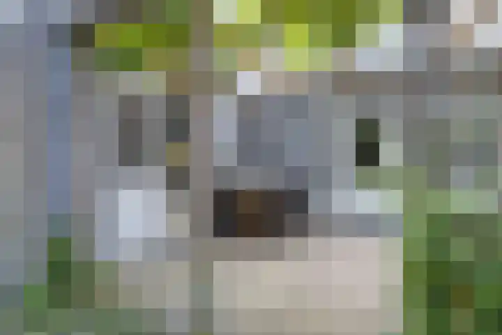 Taling 18 Grijpskerk thumbnail 56