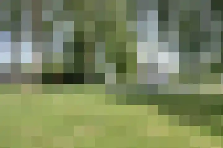 Taling 18 Grijpskerk thumbnail 57
