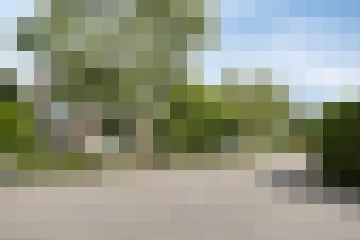 Taling 18 Grijpskerk thumbnail 58