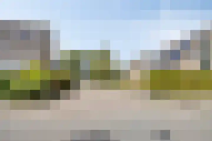 Taling 18 Grijpskerk thumbnail 60