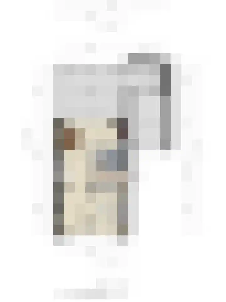 Taling 18 Grijpskerk thumbnail 61