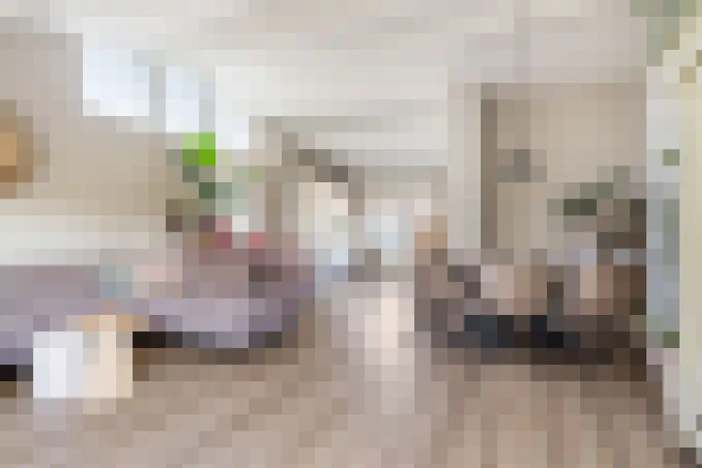 Taling 6 Dokkum thumbnail 11