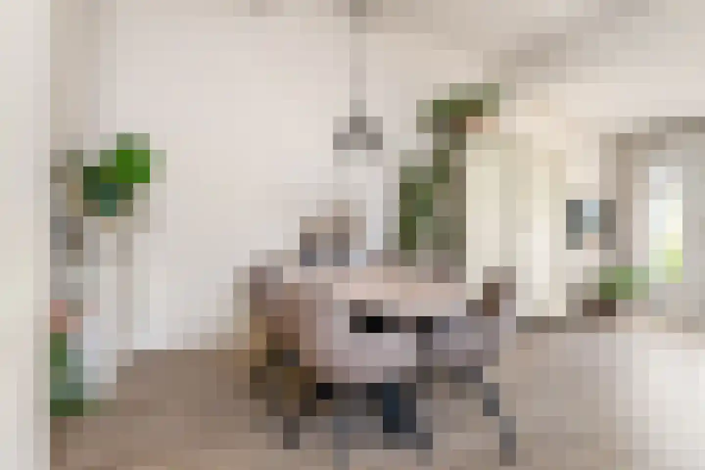 Taling 6 Dokkum thumbnail 14