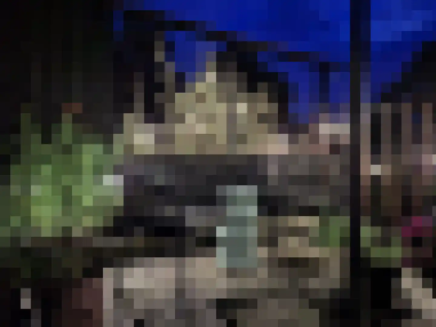 Taling 6 Dokkum thumbnail 21