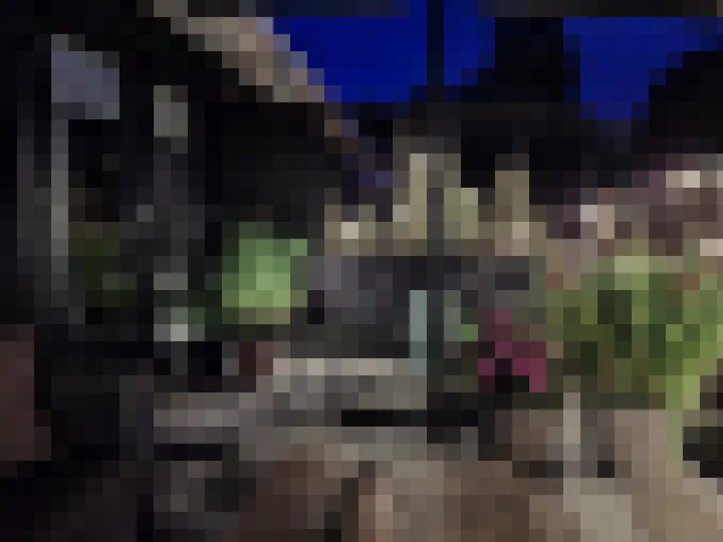 Taling 6 Dokkum thumbnail 22
