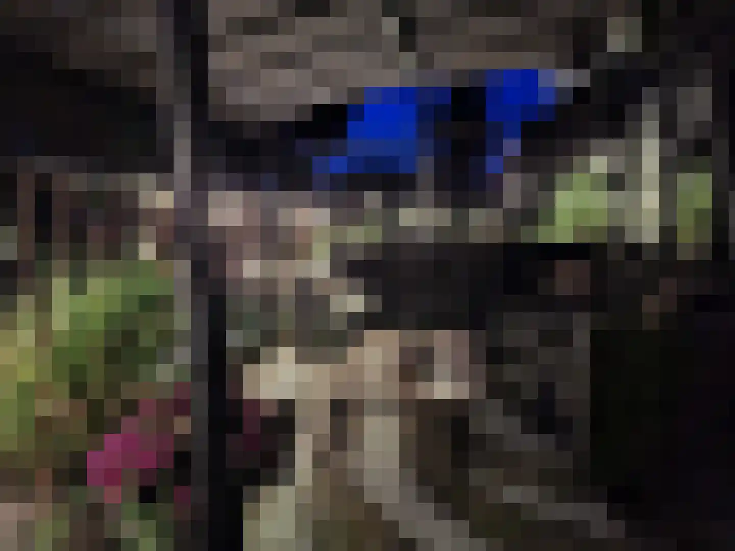 Taling 6 Dokkum thumbnail 23