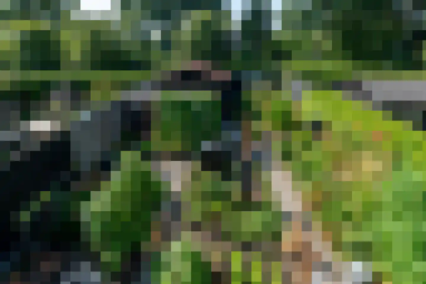 Taling 6 Dokkum thumbnail 24