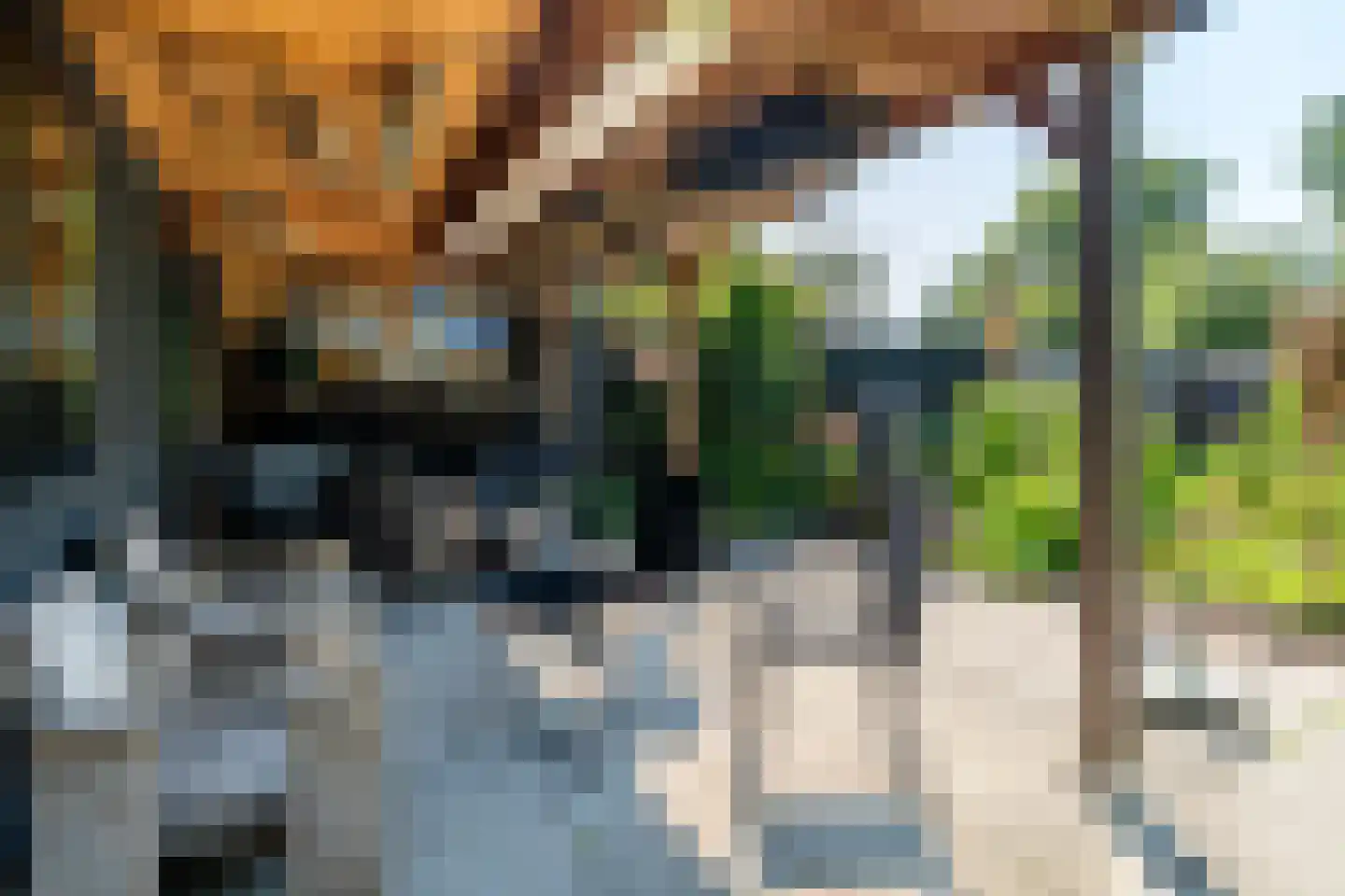 Taling 6 Dokkum thumbnail 28