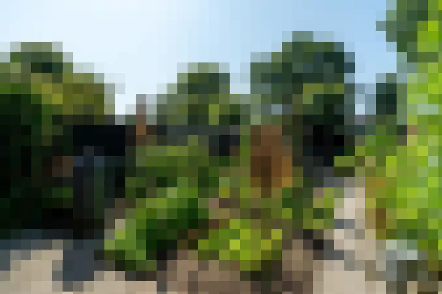 Taling 6 Dokkum thumbnail 37