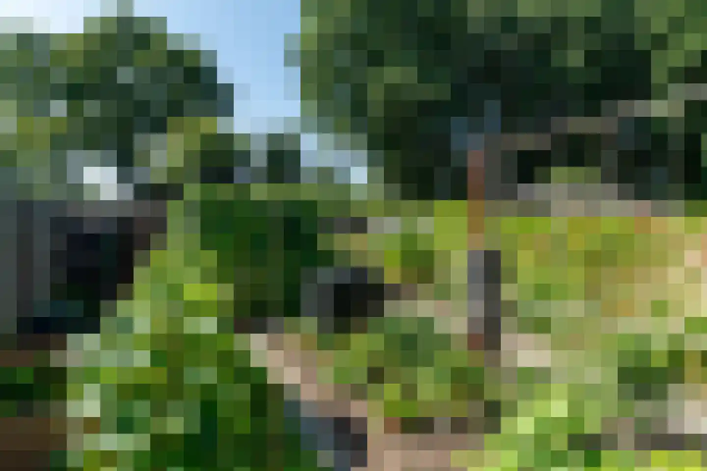 Taling 6 Dokkum thumbnail 38