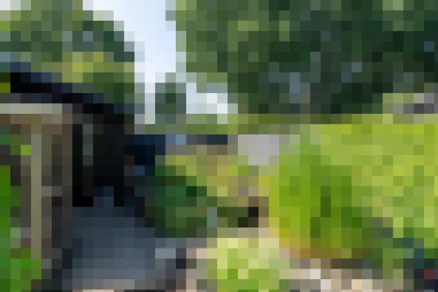 Taling 6 Dokkum thumbnail 39