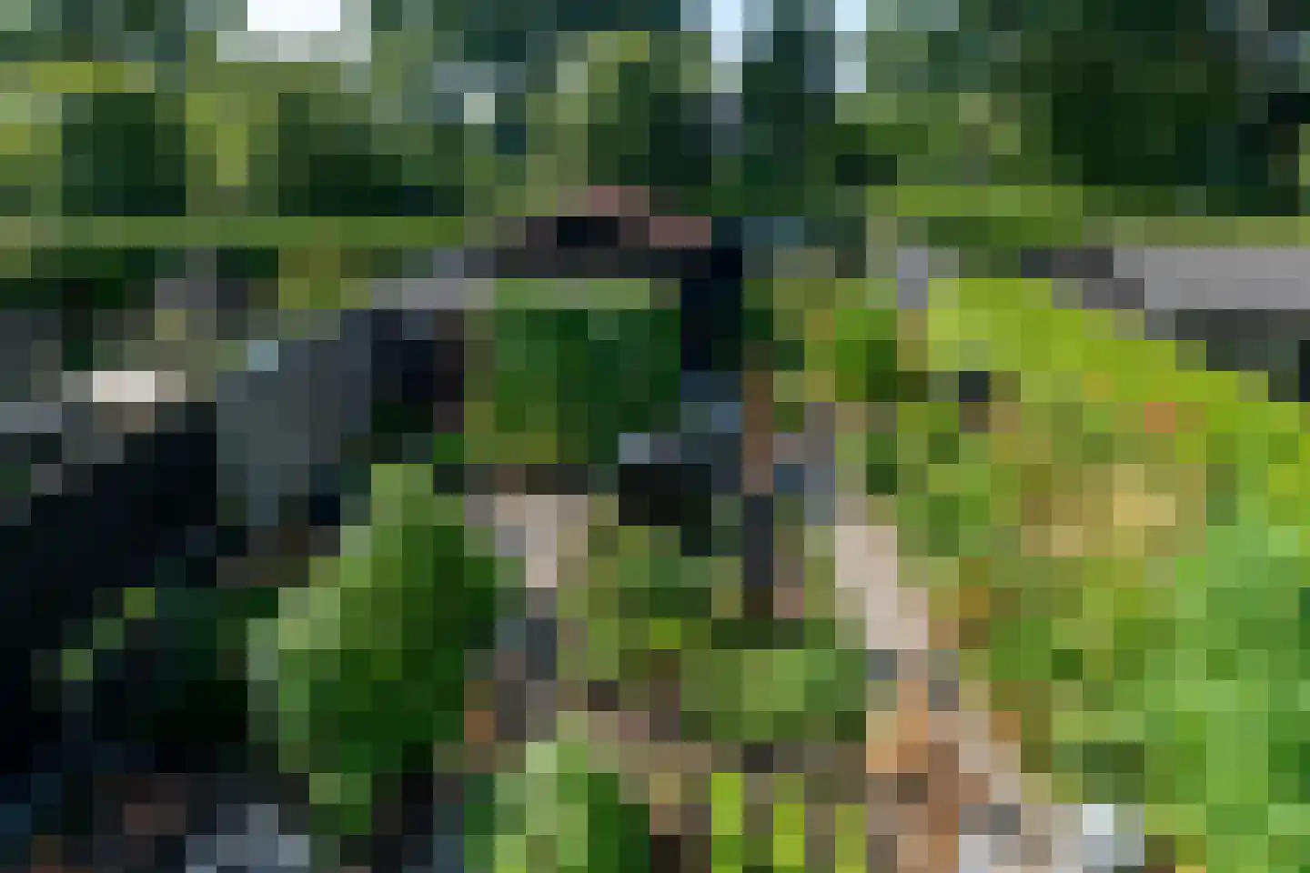 Taling 6 Dokkum thumbnail 5