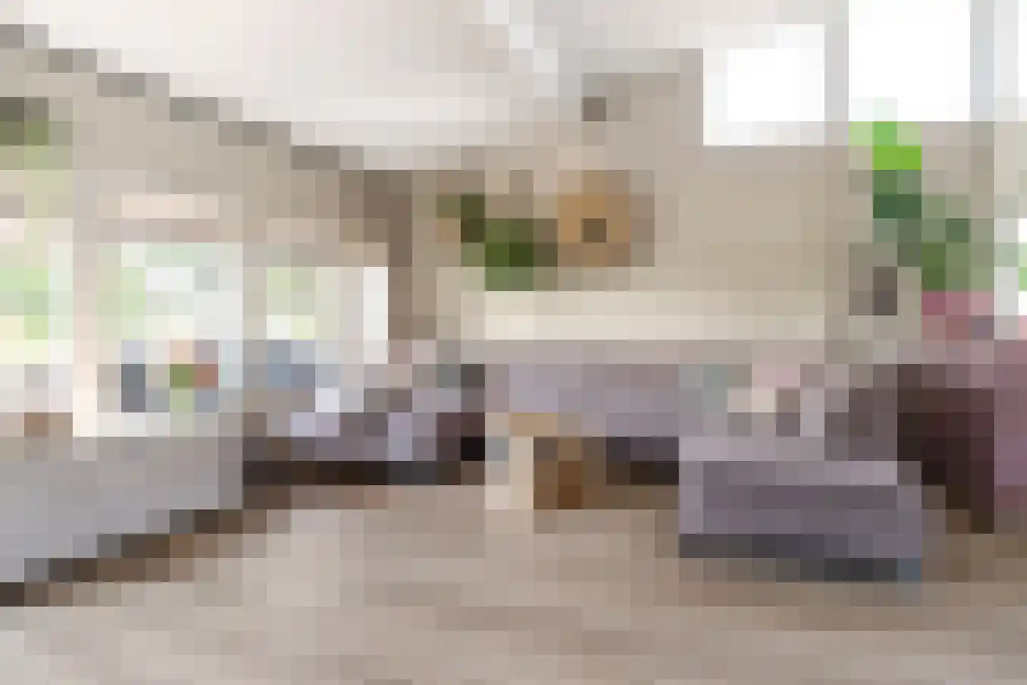Taling 6 Dokkum thumbnail 9