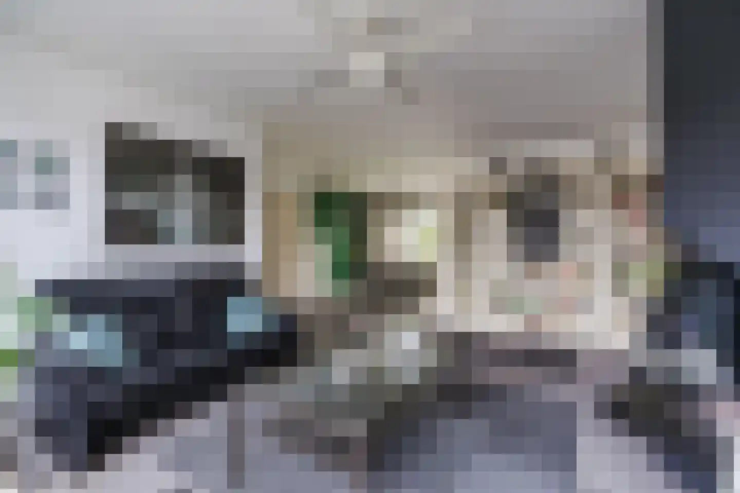 Taling 9 Veldhoven thumbnail 10