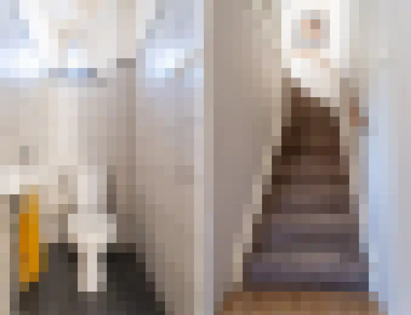 Talinghoek 12 Spijkenisse thumbnail 10