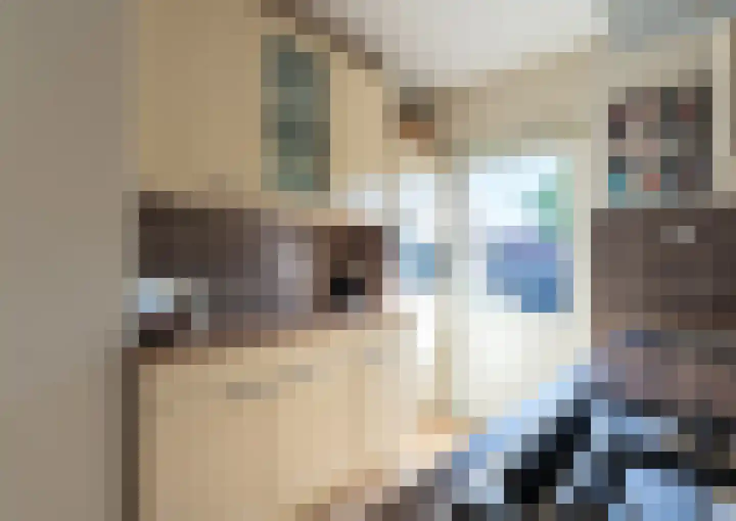 Talinghoek 12 Spijkenisse thumbnail 14