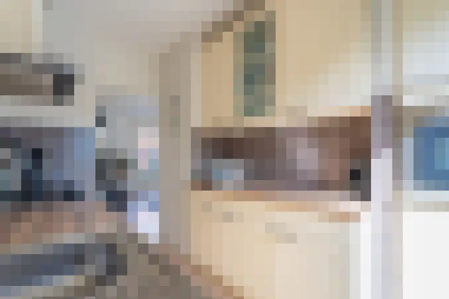 Talinghoek 12 Spijkenisse thumbnail 15