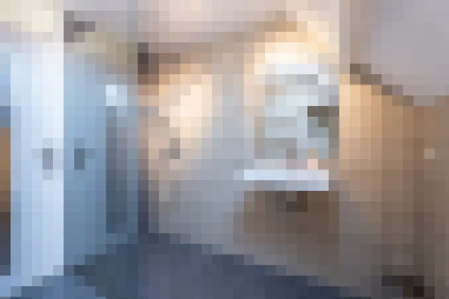 Talinghoek 12 Spijkenisse thumbnail 24