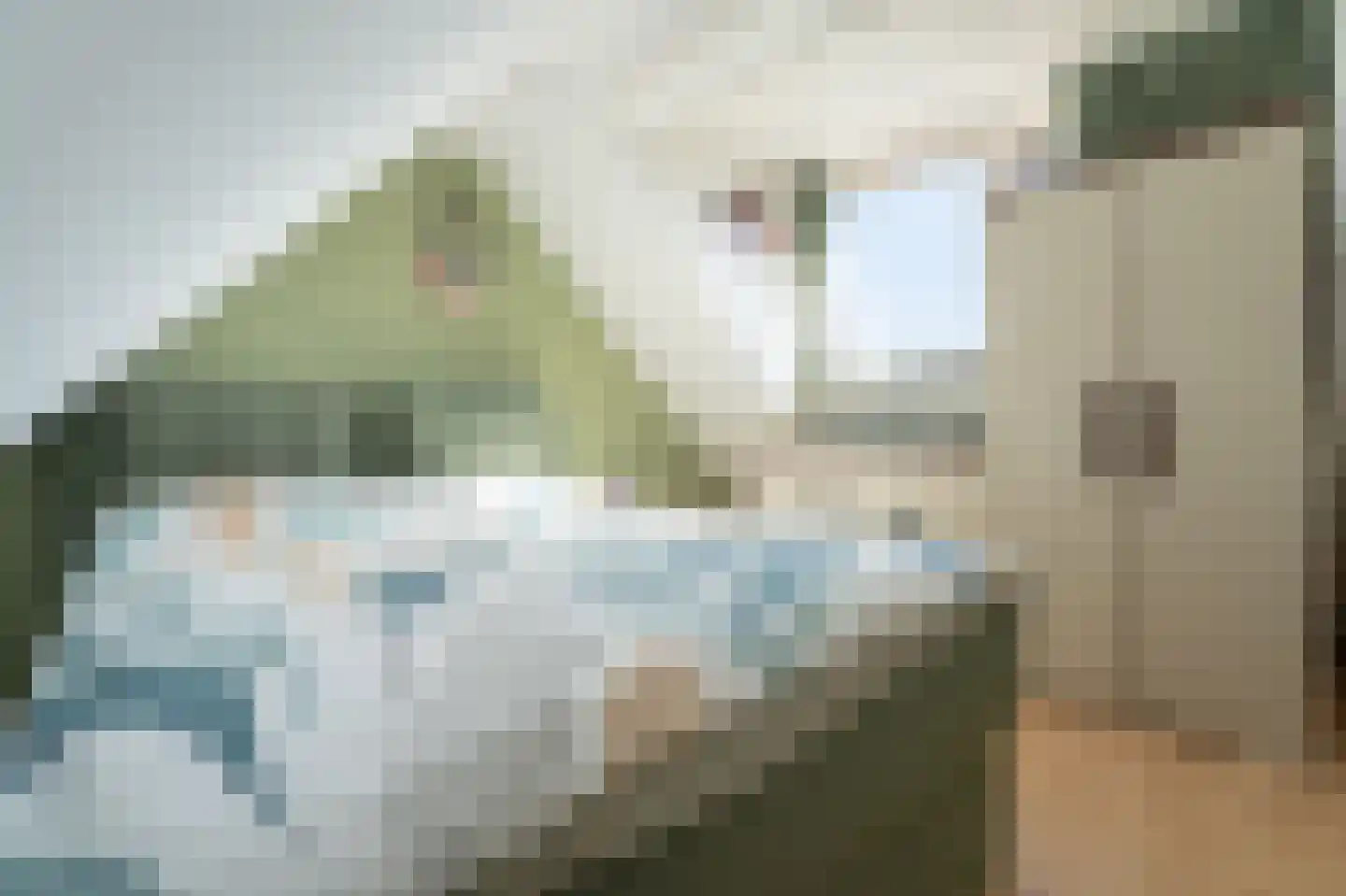 Talinghoek 12 Spijkenisse thumbnail 28