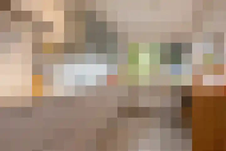 Talinghof 17 Delft thumbnail 10