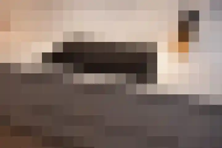 Talinghof 17 Delft thumbnail 11
