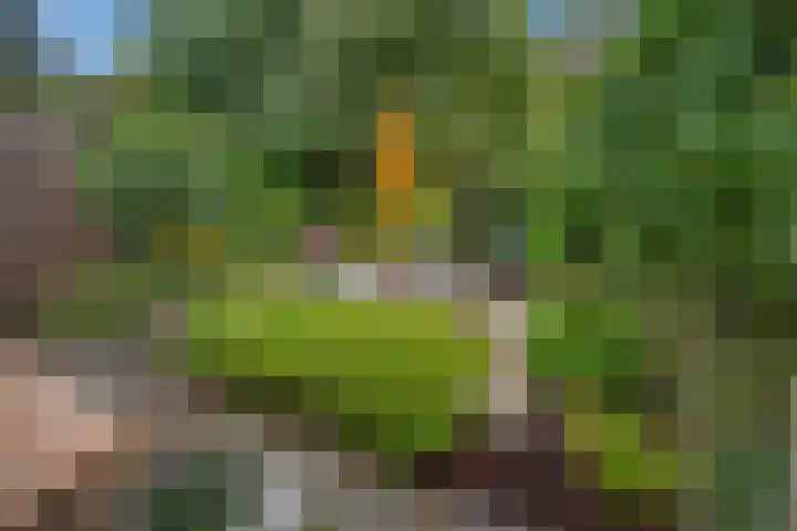 Talinghof 17 Delft thumbnail 19