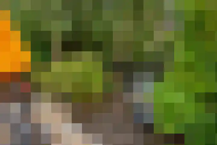 Talinghof 17 Delft thumbnail 21
