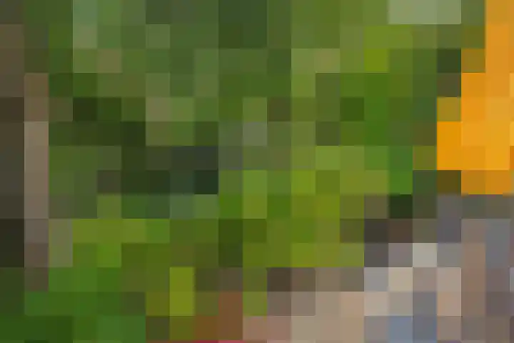 Talinghof 17 Delft thumbnail 22
