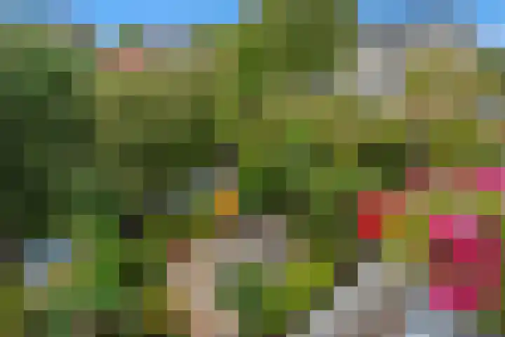Talinghof 17 Delft thumbnail 42
