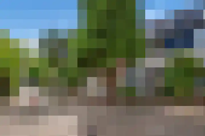 Talinghof 17 Delft thumbnail 5