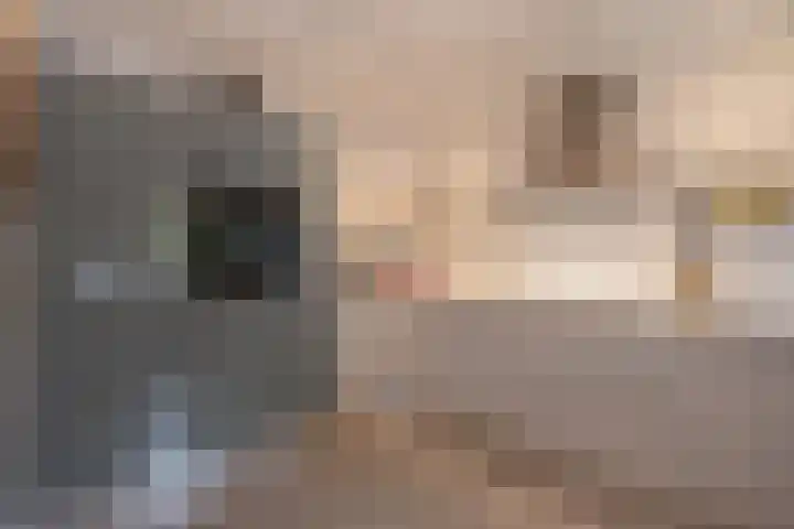 Talinghof 17 Delft thumbnail 9