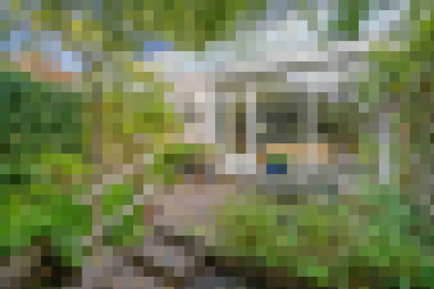 Talinghof 18 Delft thumbnail 21
