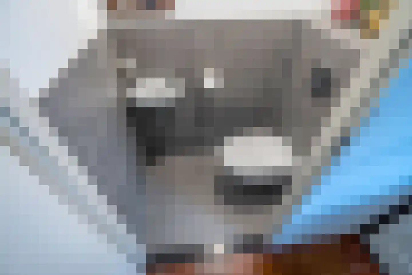 Talinghof 18 Delft thumbnail 24