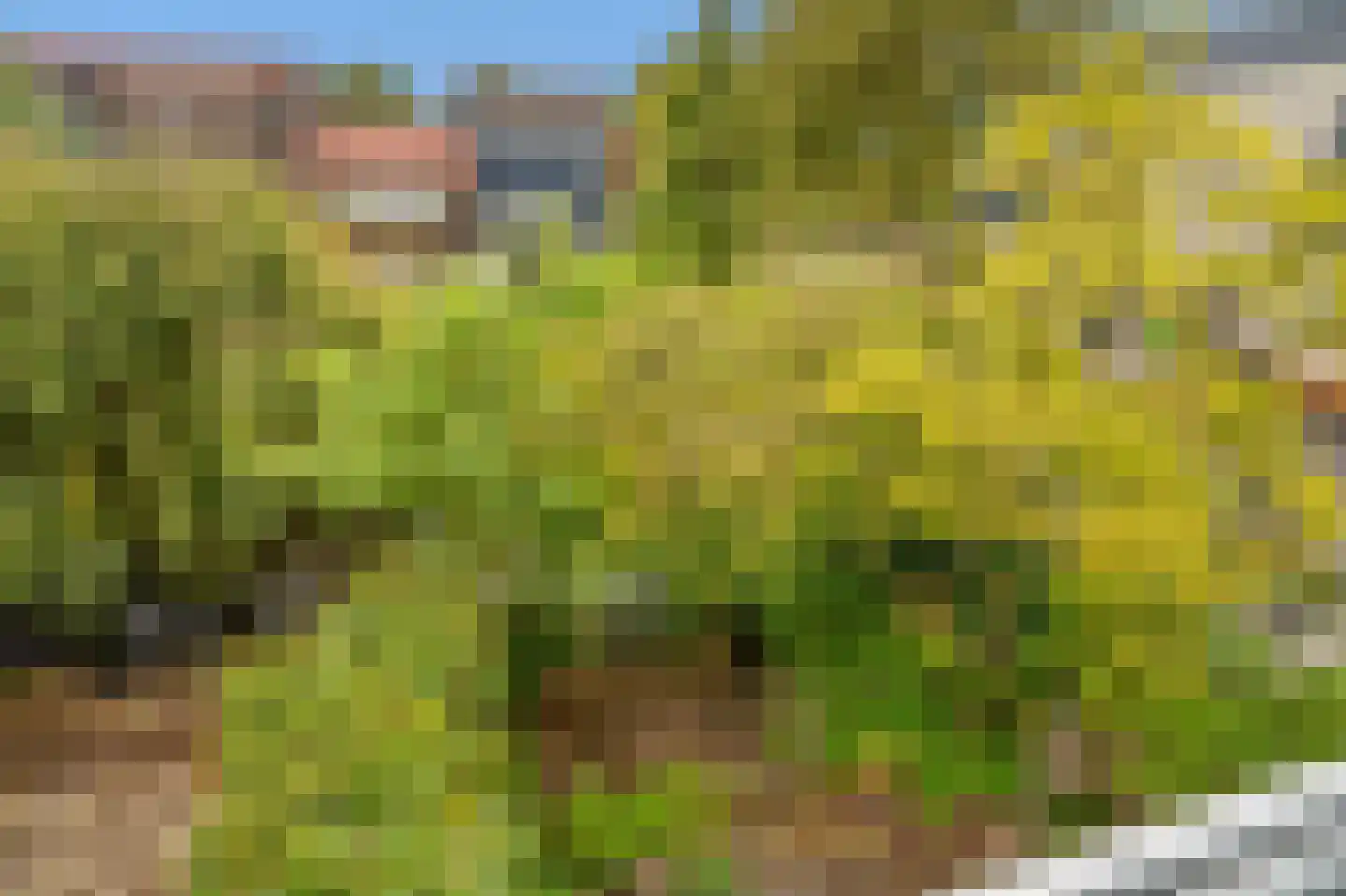 Talinghof 18 Delft thumbnail 34