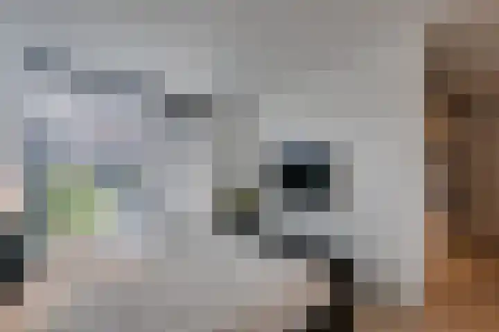 Talingkreek 12 Willemstad thumbnail 28