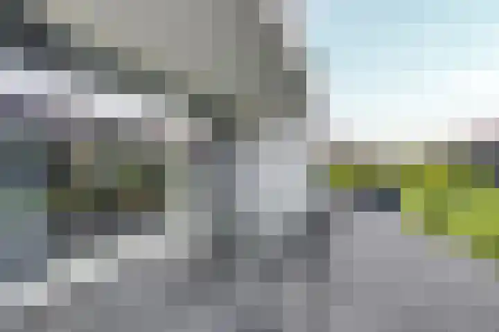 Talingkreek 12 Willemstad thumbnail 49