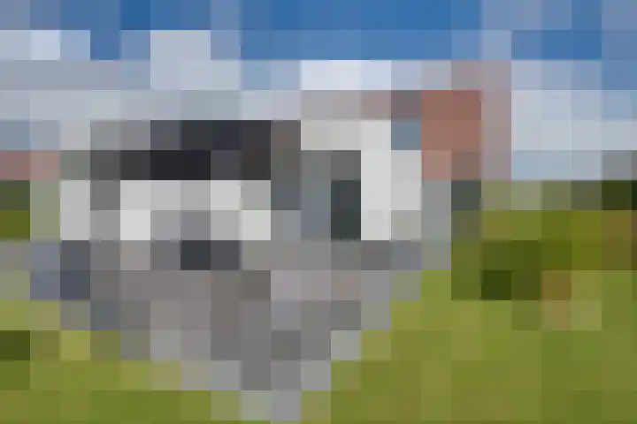 Talingkreek 12 Willemstad thumbnail 50