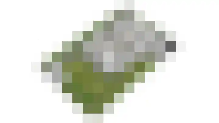 Talingkreek 12 Willemstad thumbnail 67