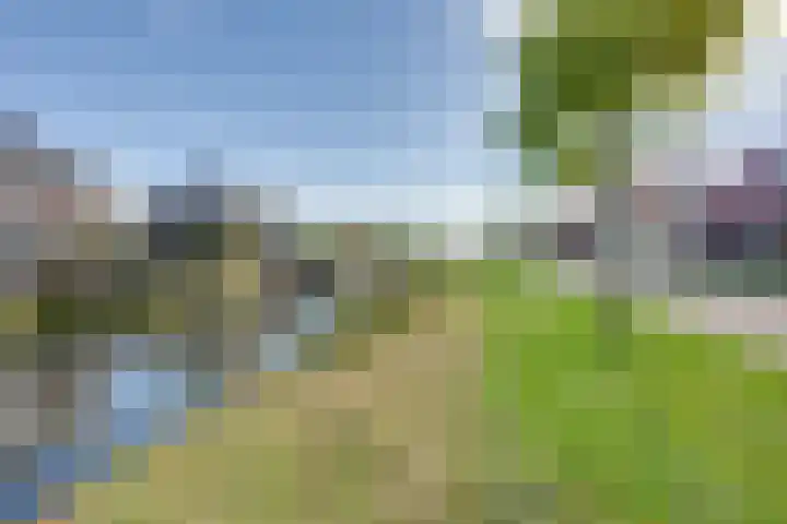 Talingkreek 12 Willemstad thumbnail 7