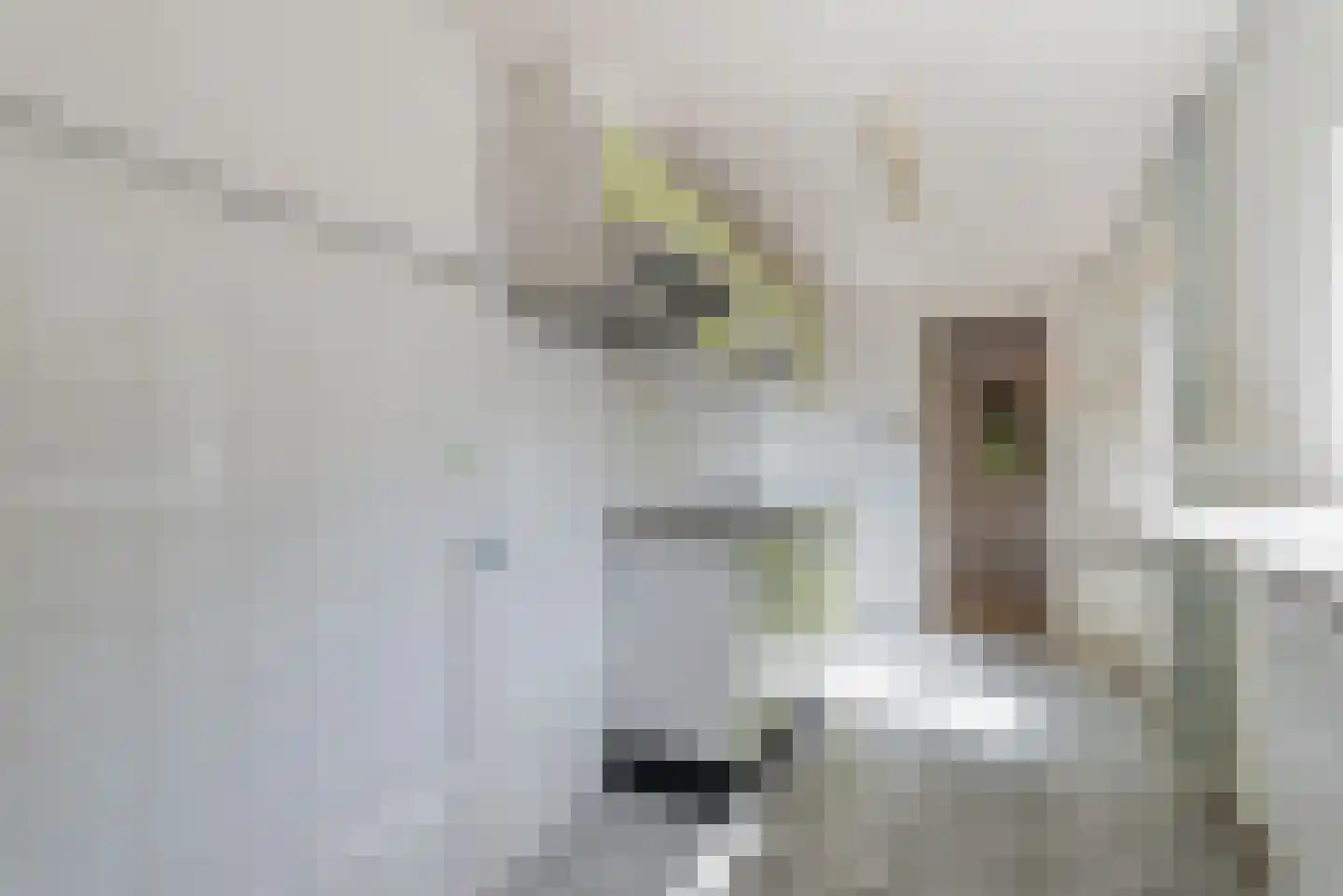 Talinglaan 11 Bilthoven thumbnail 13