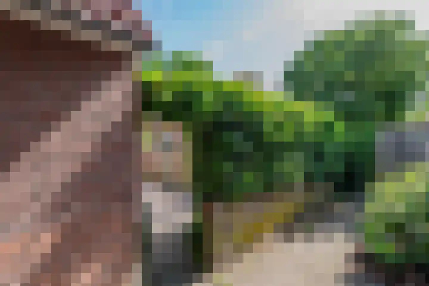 Talinglaan 11 Bilthoven thumbnail 30