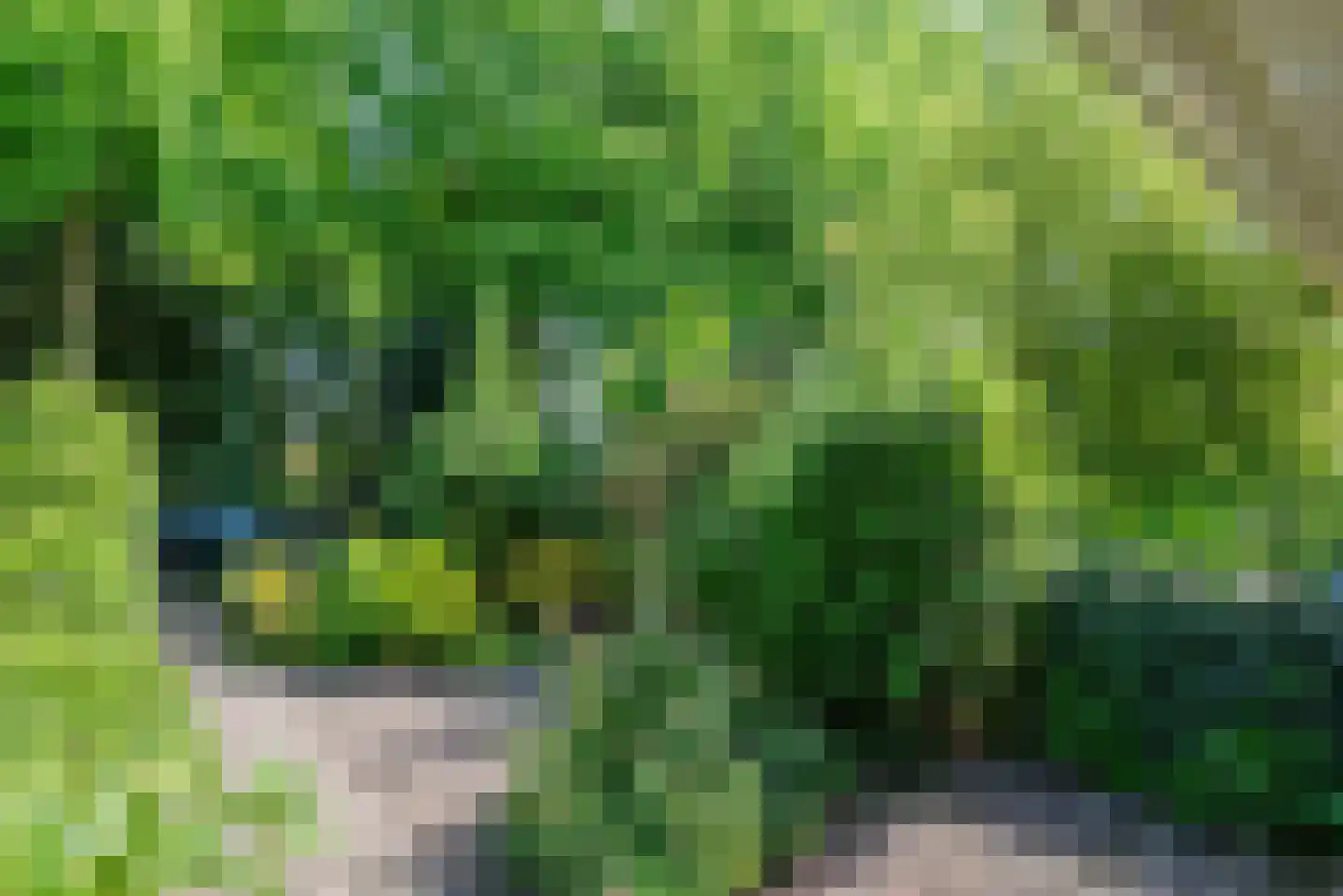Talinglaan 11 Bilthoven thumbnail 5